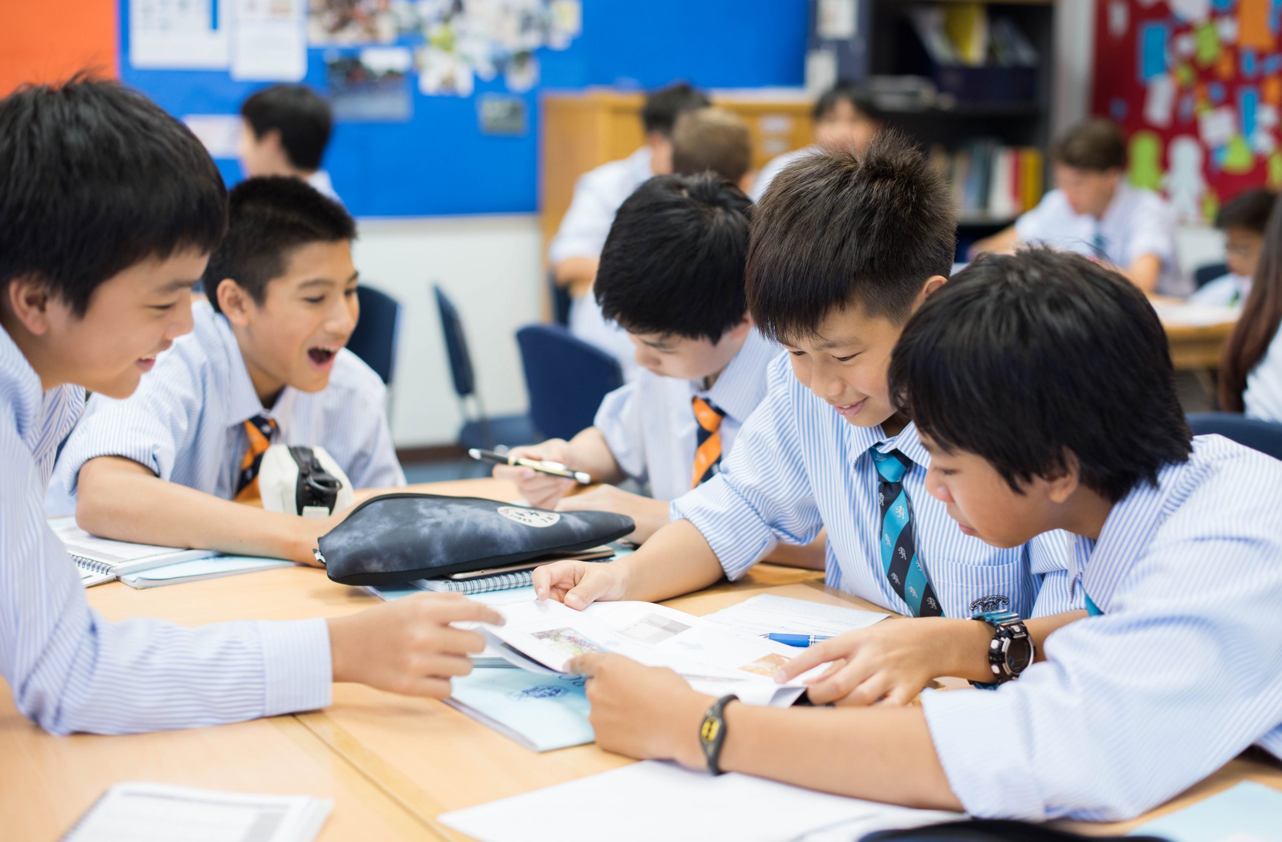 哈罗礼德国际学校：一年级至九年级