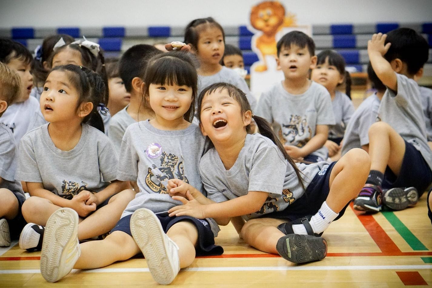 双语幼儿园：哈罗小狮幼儿园